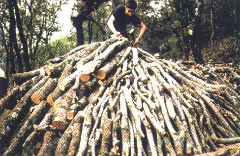 Fent una pila de llenya per una carbonera.