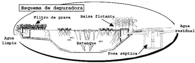 Depuradora biologica.