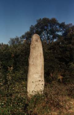 Menhir dels Palaus (L'Estrada/Agullana)