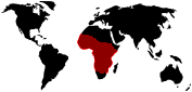 Hbitat de l'elefant afric