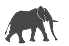 L'elefant 1