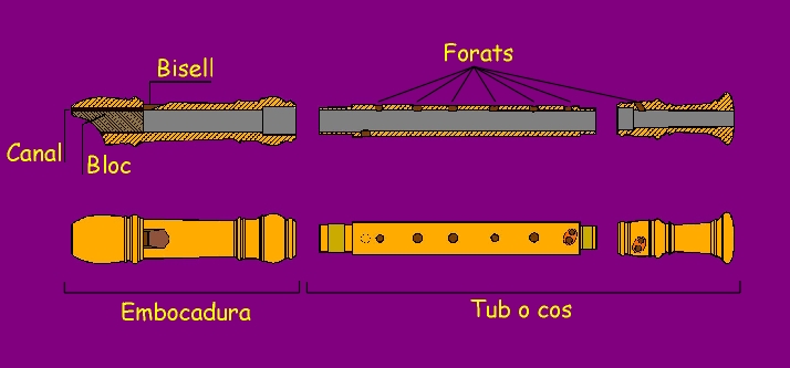 Organigrama de la flauta dolça