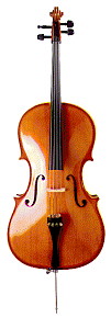 Violoncel