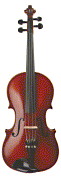 Viola