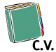 C.V. Excel