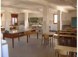 Animaci aula