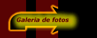 Galeria de fotos