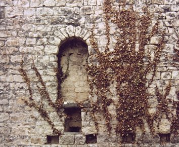 Castell de Mur. Forncula de la sala. Excavaci dirigida per M.Sancho. Foto (E.Biosca).