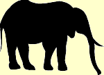 elefant