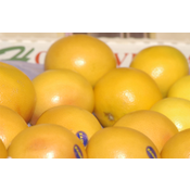 pomelos