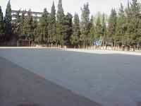 pista