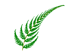 fern.gif (1728 bytes)