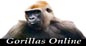 Gorilla Online