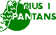 A rius i pantans