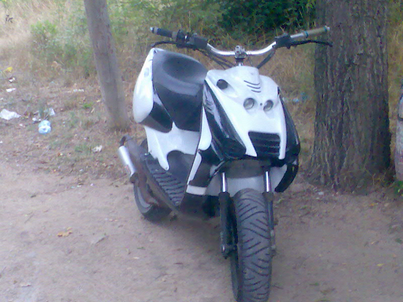 imagen026