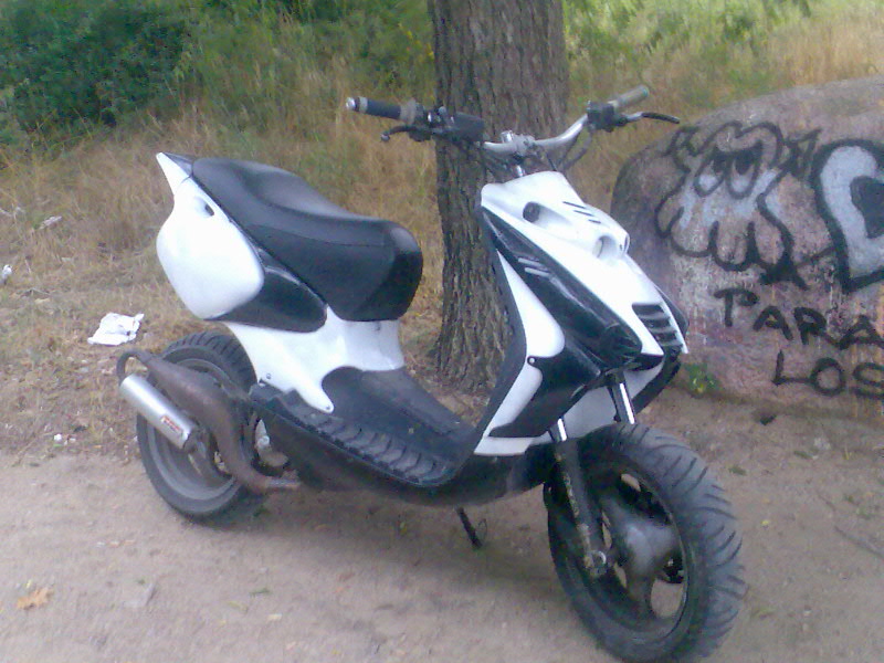 imagen027