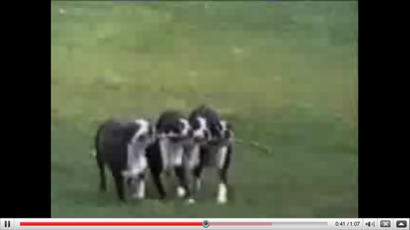 Image0004