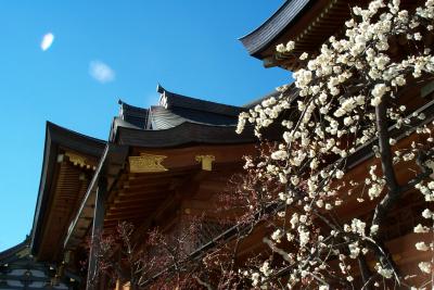 Temple near Uno station in Tokyo