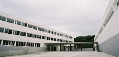 wp4e59ece8_0f.jpg