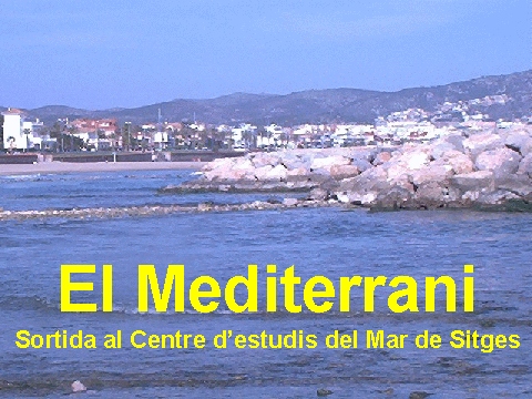 El mediterrani.   Sortida al Centre d'Estudis del Mar de Sitges