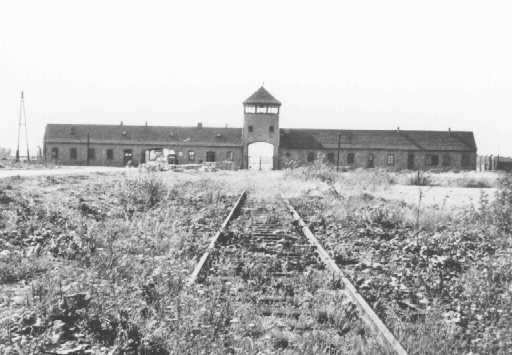 holocausto38.jpg