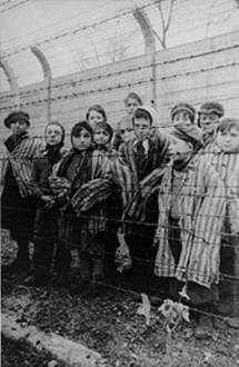 holocausto7.jpg