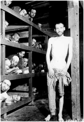 the final solution