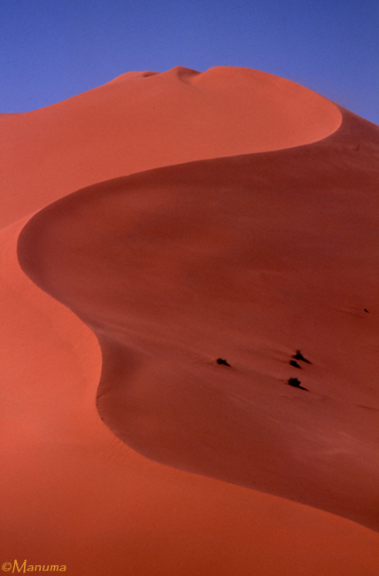 Maroc-duna.jpg