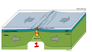 EsquemaTPDorsal.gif