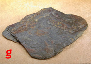 pizarra4.jpg