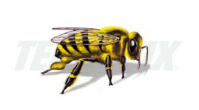 abeja-africana.jpg