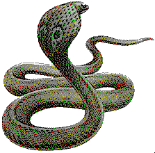 serp.gif