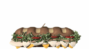 sub_sandwich_periscope_look_md_wht.gif