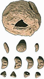 Bullae