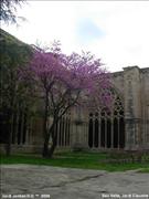 La Seu Vella de Lleida