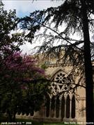 La Seu Vella de Lleida