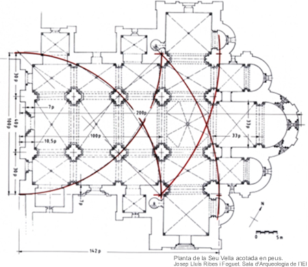 Planta de la Seu Vella acotada en peus. Josep Lluís Ribes i Foguet. Sala d’Arqueologia de l’IEI.