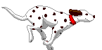 gif101dalm03.gif (6743 bytes)