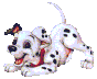 gif101dalm04.gif (8246 bytes)