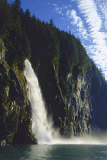 gifaigua13.gif (72198 bytes)