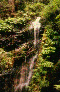 gifaigua15.gif (29374 bytes)