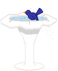 gifaigua21.gif (10296 bytes)