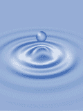 gifaigua22.gif (10530 bytes)