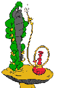 gifalicia08.gif (6343 bytes)