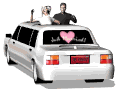 gifamor30.gif (3568 bytes)