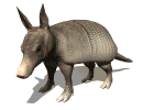 gifanimal02.gif (16755 bytes)