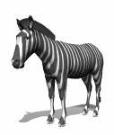 gifanimal05.gif (16317 bytes)