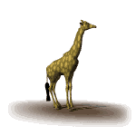 gifanimal12.gif (9564 bytes)