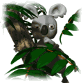 gifanimal13.gif (22887 bytes)