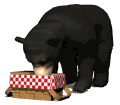 gifanimal16.gif (6978 bytes)